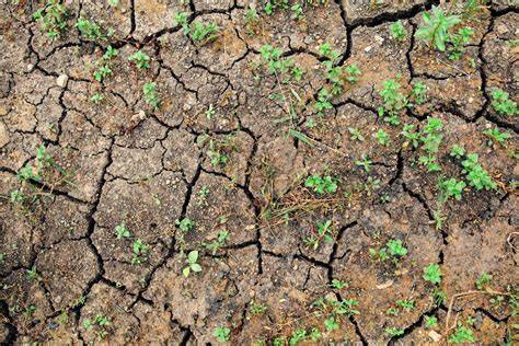Droge bodem onder zonnige zomerhemel