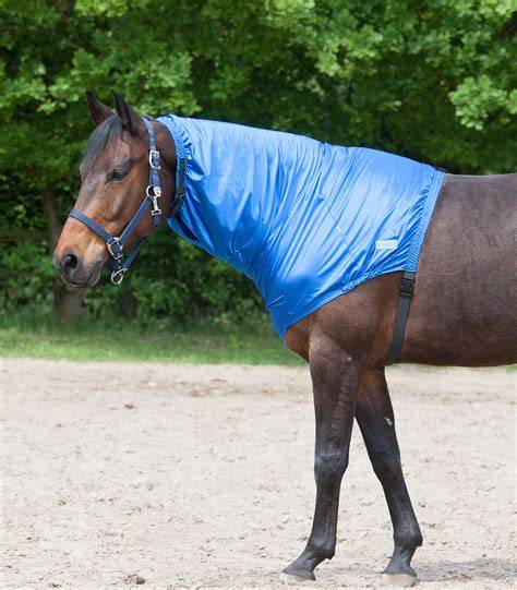 Busse eczeem halsdeken paard