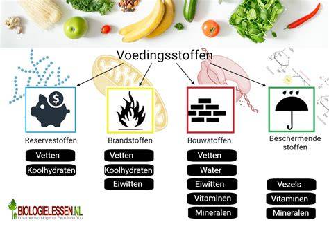 Voedingsmiddelen voor collageenaanmaak